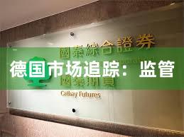 德国市场追踪：监管